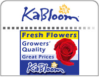 KaBloom